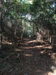 UWF Nature Trail